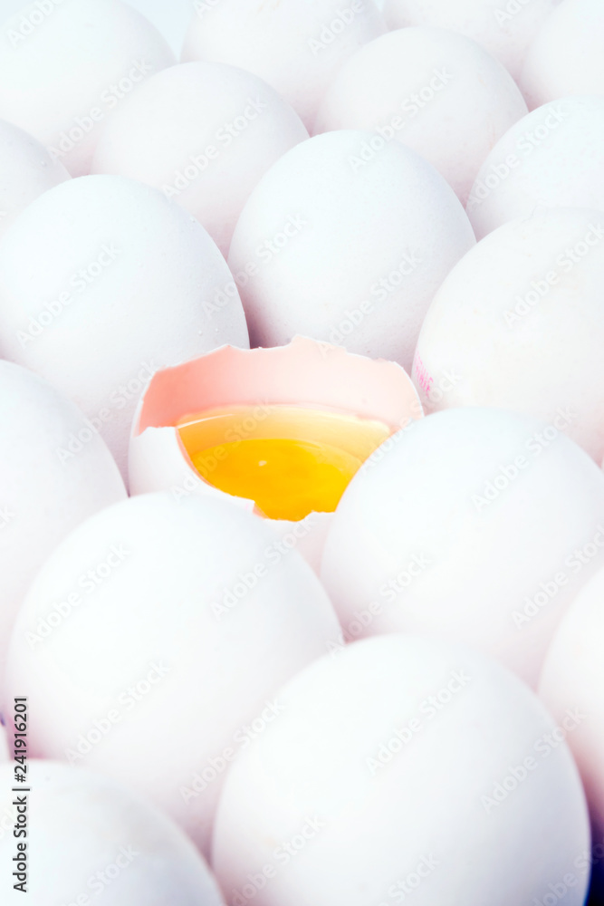 egg egg