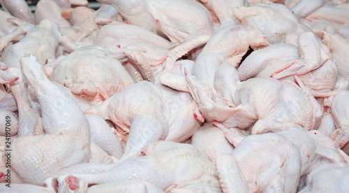 The background from the raw carcasses of chickens