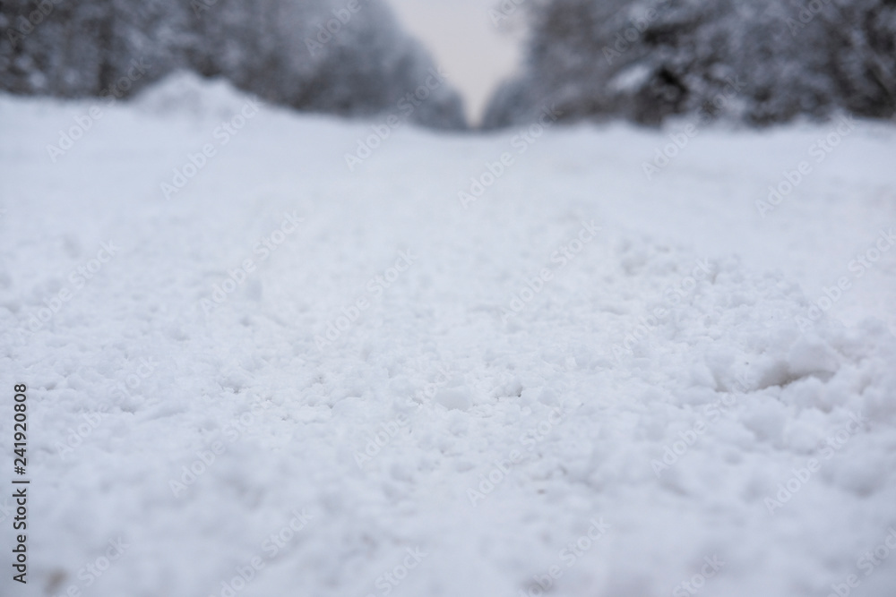 Landscape with the image of a winter road Landscape with the image of a winter road