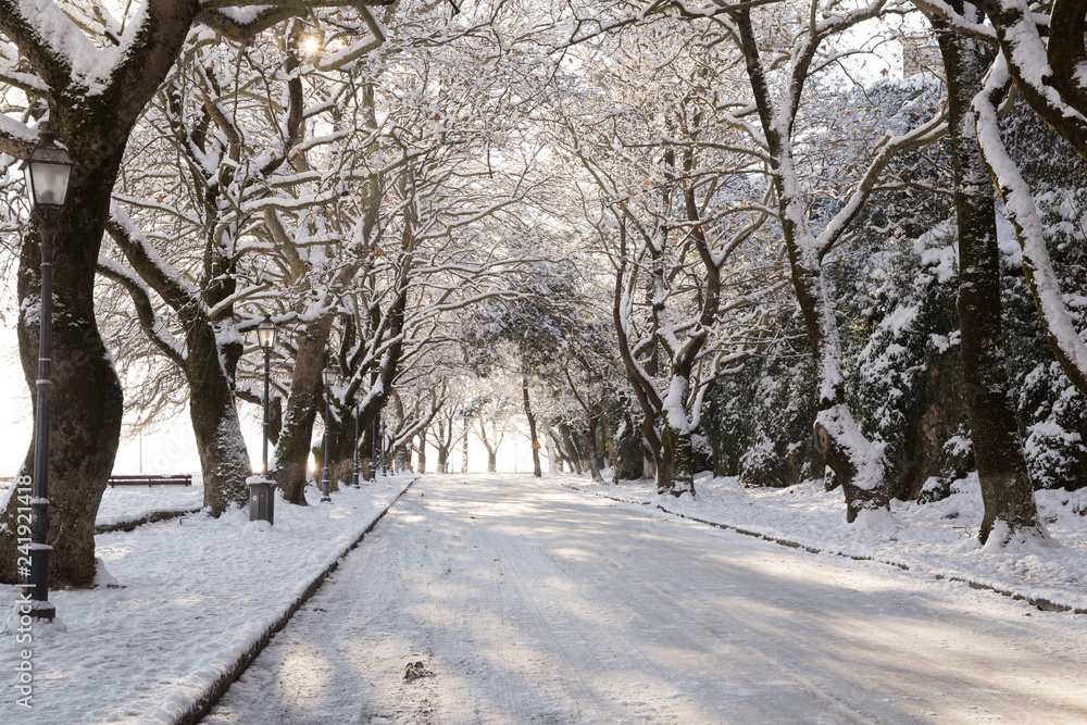 snow ice winter season trees road in Ioannina city Greece snow ice winter season trees road in Ioannina city Greece