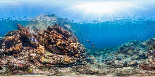 360 of healthy reef in Indonesia