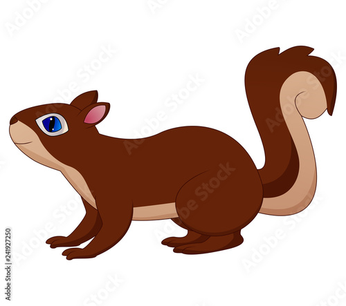 Illustration of cute brown squirrel on white background