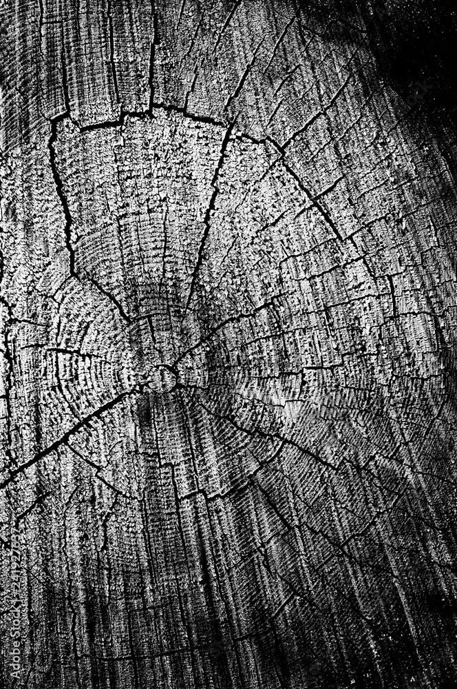 Fototapeta premium Black grunge weathered wooden texture. Abstract background