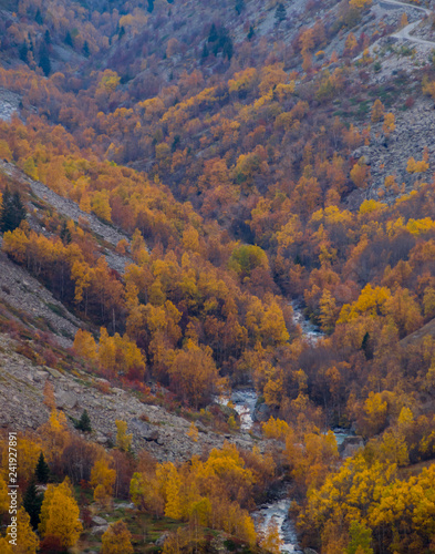 Couleurs d automne