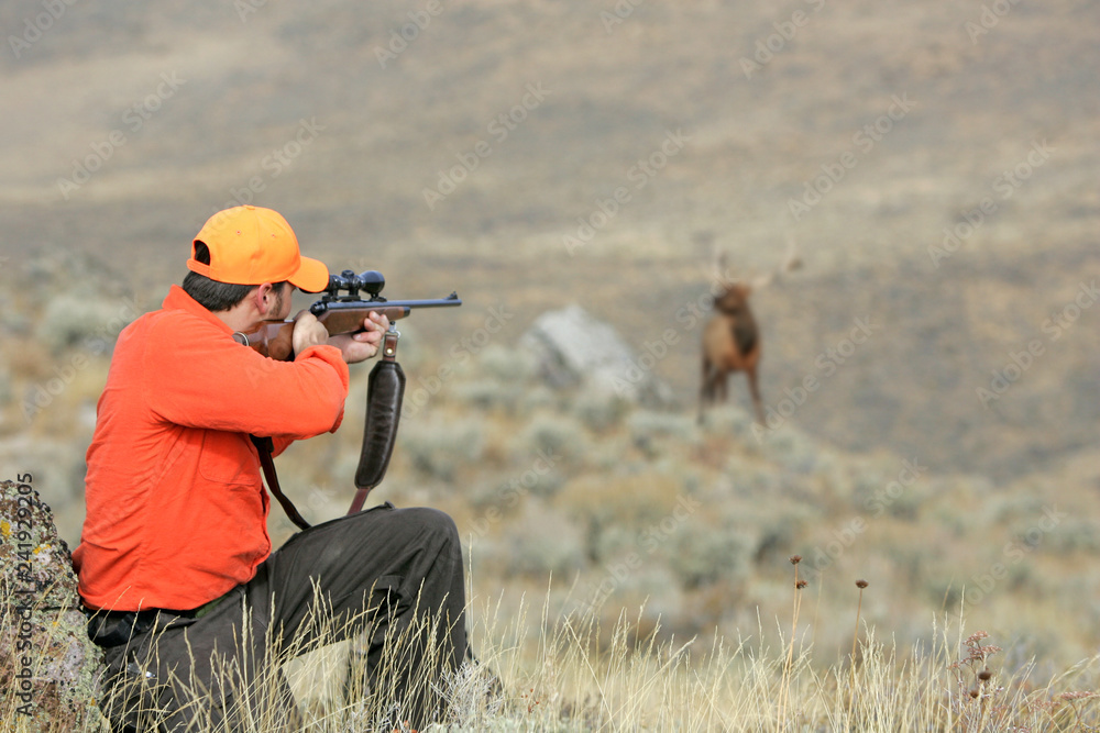 Valokuva Hunting Big Game