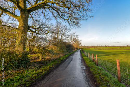 A road through rural Northamptonshire