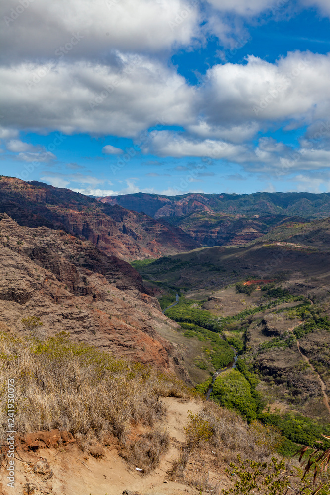 Naklejka premium Waimea Canyon Kauai