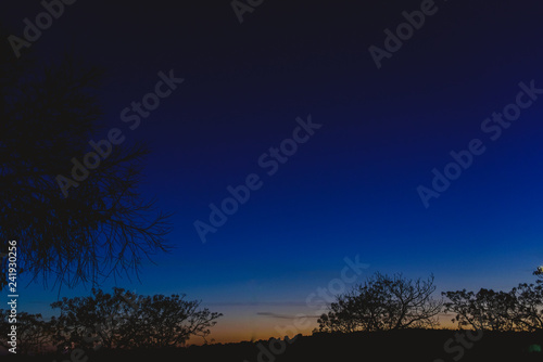 Sky background at dusk with silhouettes of trees and horizon.