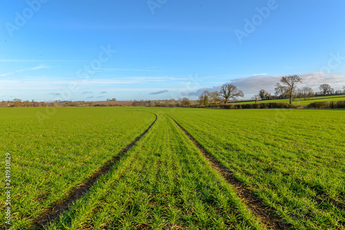 Fields in rural Northamptonshire