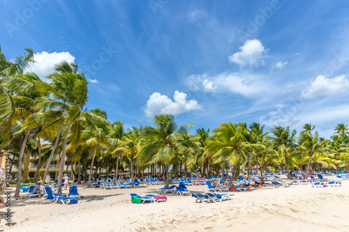 Bayahibe, Dominican Republic - July 22nd 2018 - Plenty of beach chairs underneath the palm trees in a resort in Bayahibe photo