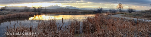 Views of Josh’s Pond walking path, Reflecting Sunset in Broomfield Colorado surrounded by Cattails, plains and Rocky mountain landscape during sunset. United States.