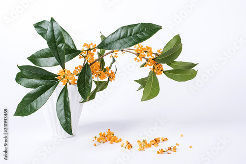 Fresh golden osmanthus