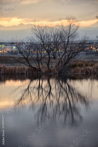 Views of Josh   s Pond walking path  Reflecting Sunset in Broomfield Colorado surrounded by Cattails  plains and Rocky mountain landscape during sunset. United States.