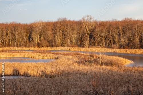 Autumn Landscape Wetlands
