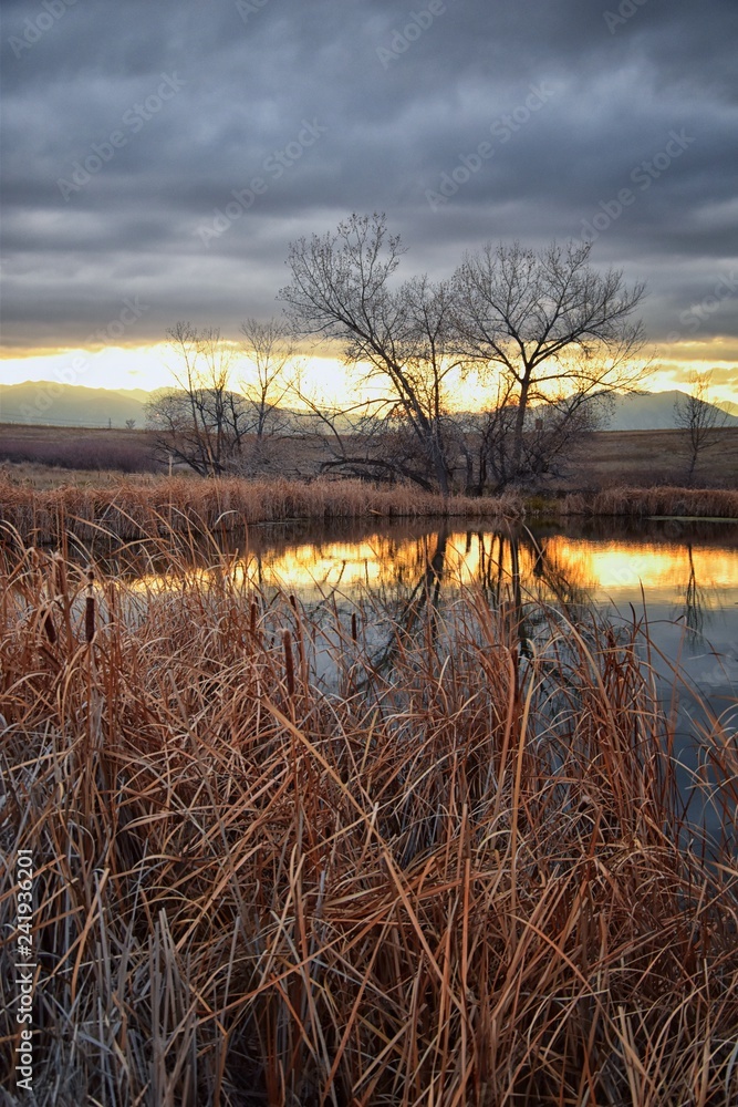 Views of Josh’s Pond walking path, Reflecting Sunset in Broomfield Colorado surrounded by Cattails, plains and Rocky mountain landscape during sunset. United States. Views of Josh’s Pond walking path, Reflecting Sunset in Broomfield Colorado surrounded by Cattails, plains and Rocky mountain landscape during sunset. United States.
