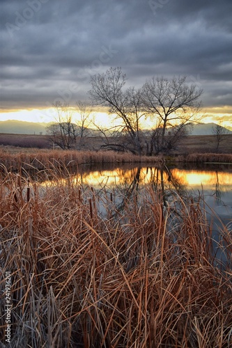 Views of Josh   s Pond walking path  Reflecting Sunset in Broomfield Colorado surrounded by Cattails  plains and Rocky mountain landscape during sunset. United States.