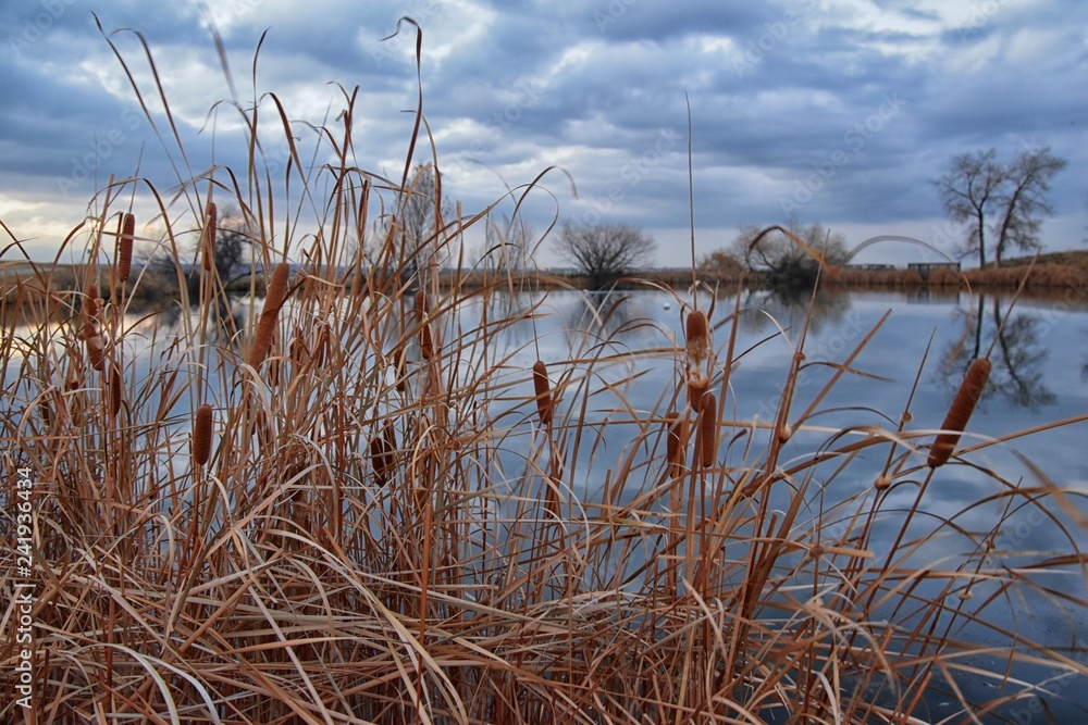 Broomfield Colorado Views