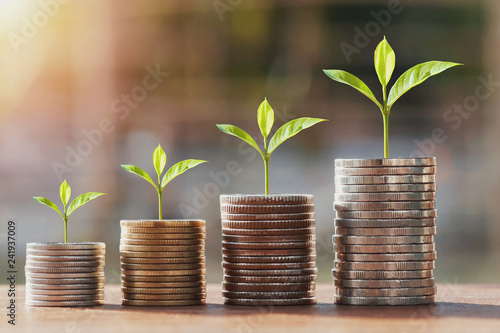 money stack and young plant growing step. concept finance accounting photo
