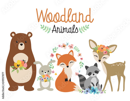 Cute woodland forest animals vector illustration including bear, bunny rabbit, fox, raccoon, and deer. photo