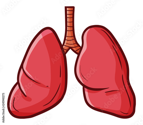 Funny and cute lungs - vector