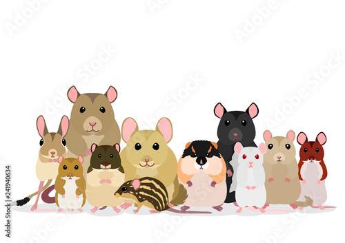 group of mice