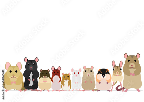border of mice breeds