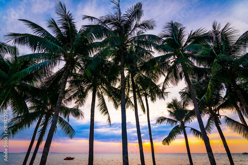 Beautiful colorful silhouette coconut palm trees on beach at sunset. © Meawstory15Studio