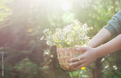 Jacquard basket for children / fantasy forest background photo