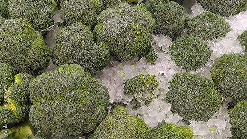 Quadro su tela The broccoli are soak in the ice tray.