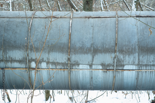 Pipeline passing through the forest photo