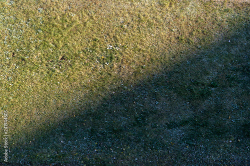 Fotografie Glade with withered grass divided by a shadow diagonally