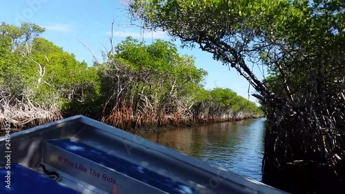 Everglades city, Florida, United States of America. Airboat tours at the mangrove forest