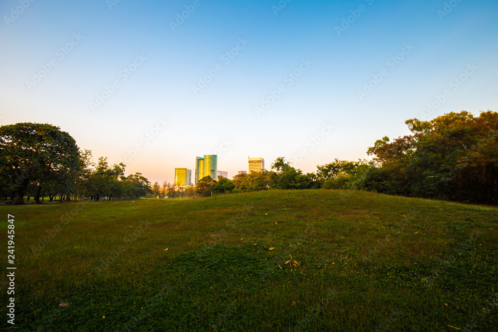 Sunset at city public park colorful sky green field