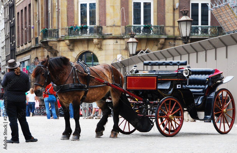 Traditional horse-drawn carriage in Amsterdam, the Netherlands Traditional horse-drawn carriage in Amsterdam, the Netherlands