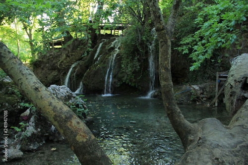  peace in nature