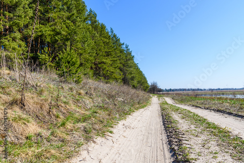 Dirt road near the forest on early spring