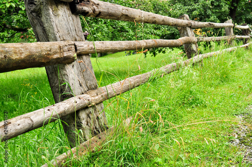 simple fence in green grass