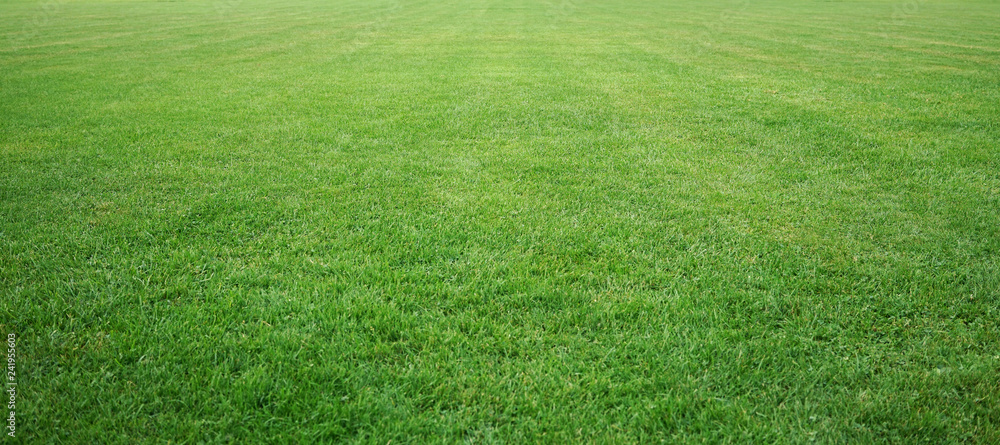 Obraz premium Soccer field