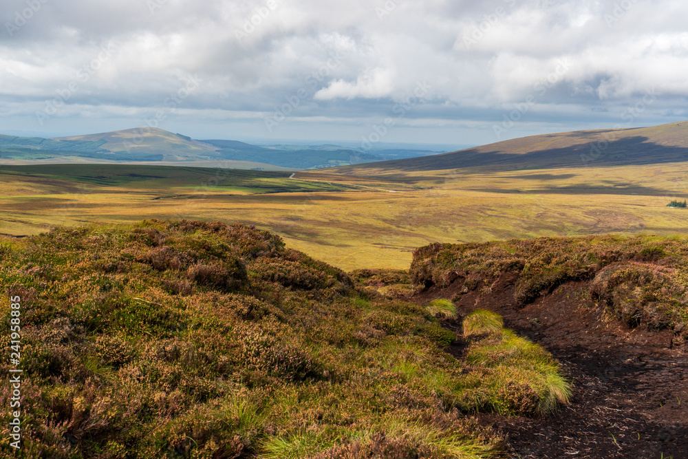 Wicklow Mountains landscape with rolling hills covered by blanket bog in Ireland. Wicklow Mountains landscape with rolling hills covered by blanket bog in Ireland.