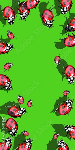  Hand-drawn ladybugs on an empty postcard with a background.