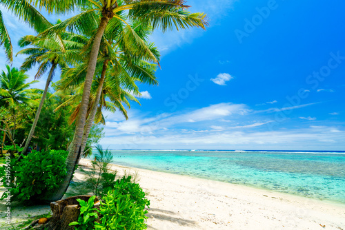 Fototapeta Naklejka Na Ścianę i Meble -  An idyllic beach with palm trees in Rarotonga in the Cook Islands