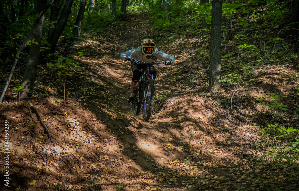 mountain biker in the forest