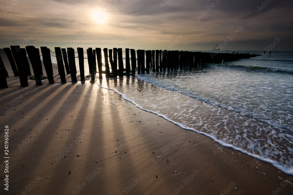 sunshine over old wooden breakwater on North sea coast - obrazy, fototapety, plakaty 