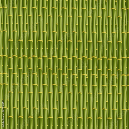 Green bamboo stick pattern square seamless background.