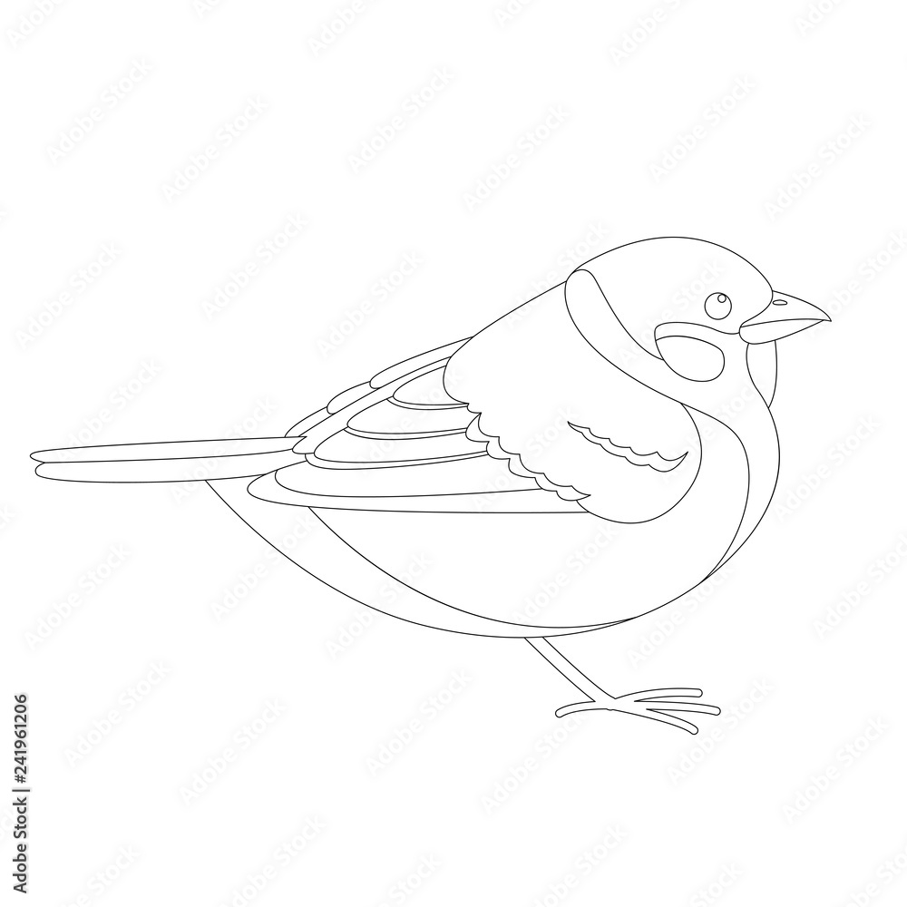sparrow bird , vector illustration , lining draw , profile sparrow bird , vector illustration , lining draw , profile