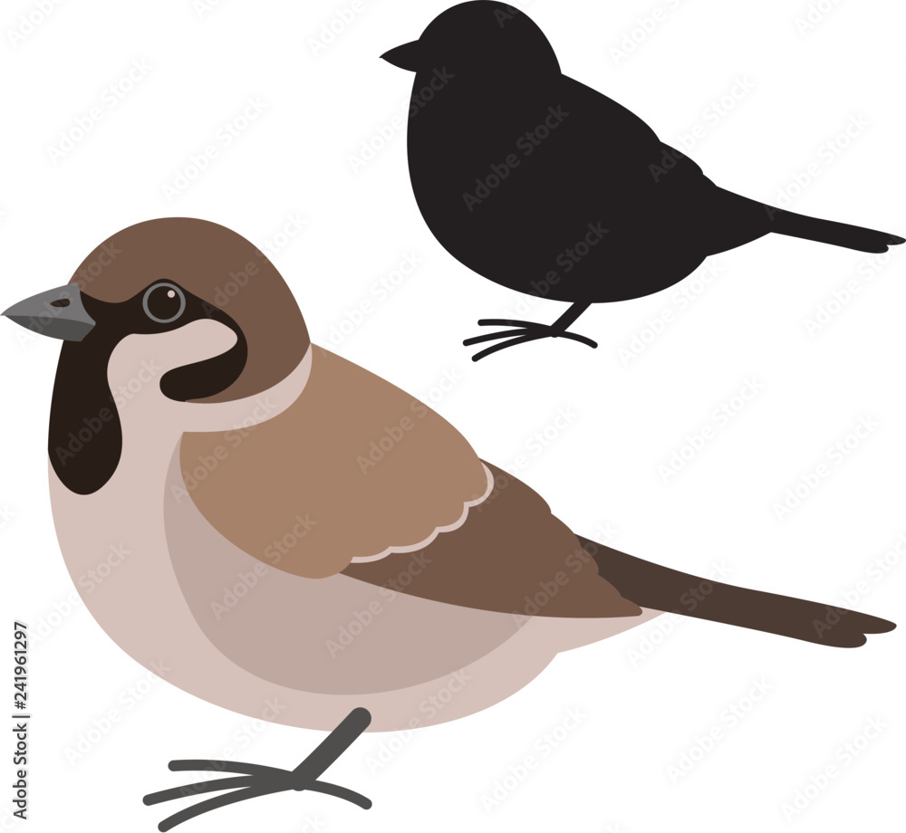 Obraz premium sparrow bird , vector illustration , flat style , silhouette
