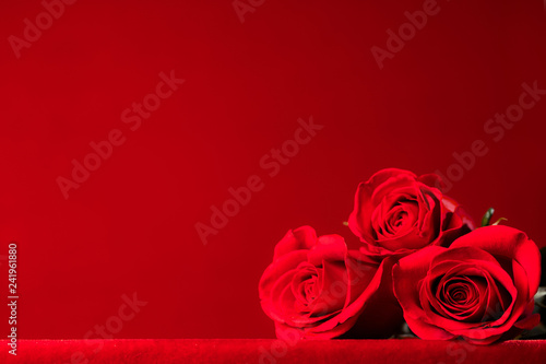 Three Beautiful Red Roses