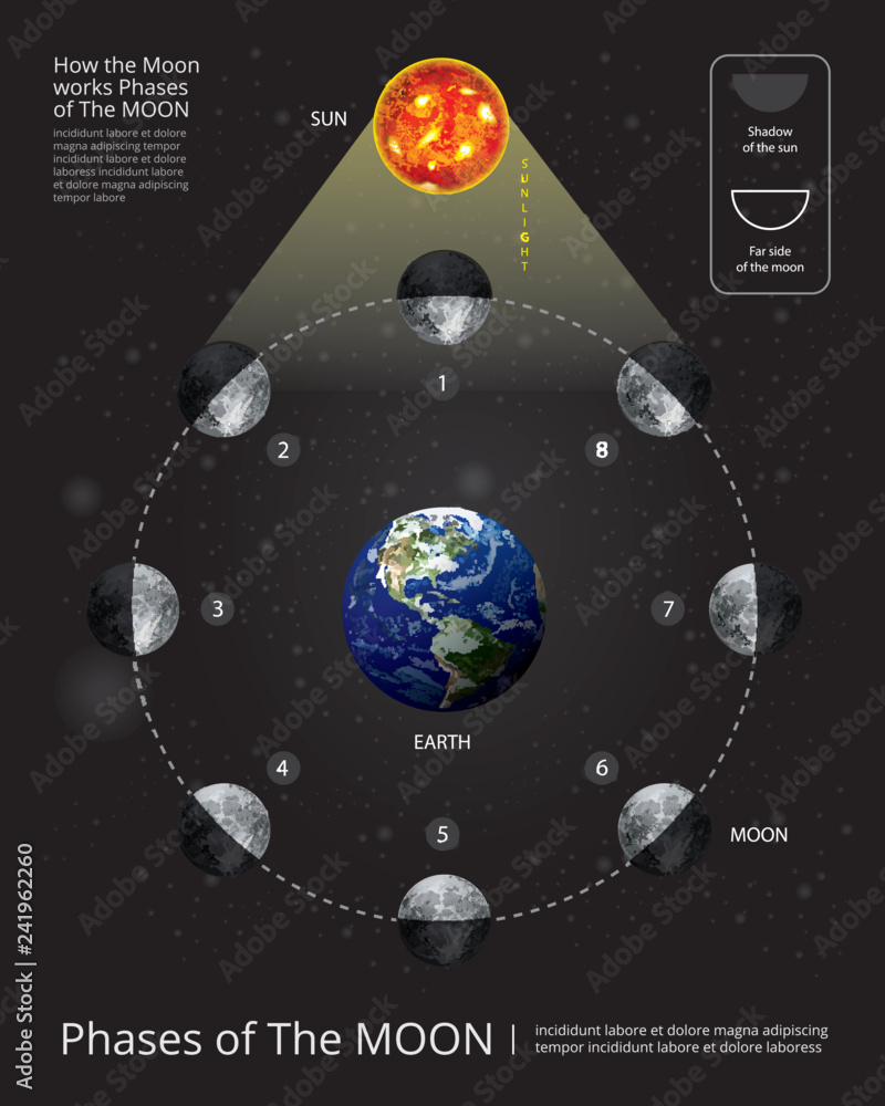 Obraz premium Movements of the Moon Phases Realistic Vector Illustration