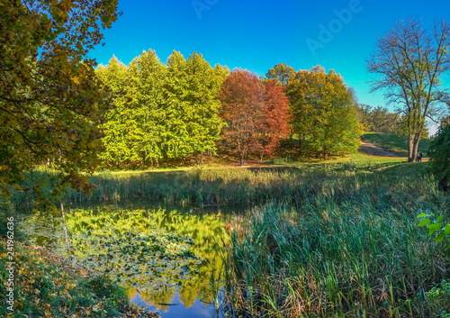 Fototapeta Naklejka Na Ścianę i Meble -  Autumn in Sofiyivka Park in Uman, Ukraine