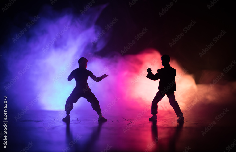 Karate athletes on the background of the Japanese flag.Character karate.silhouettes on a white background. Sports Scramble.